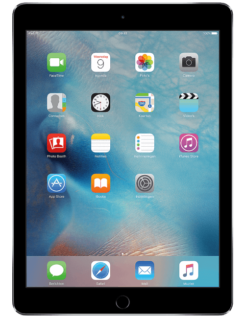 iPad Mini 4 (A1538 A1550)